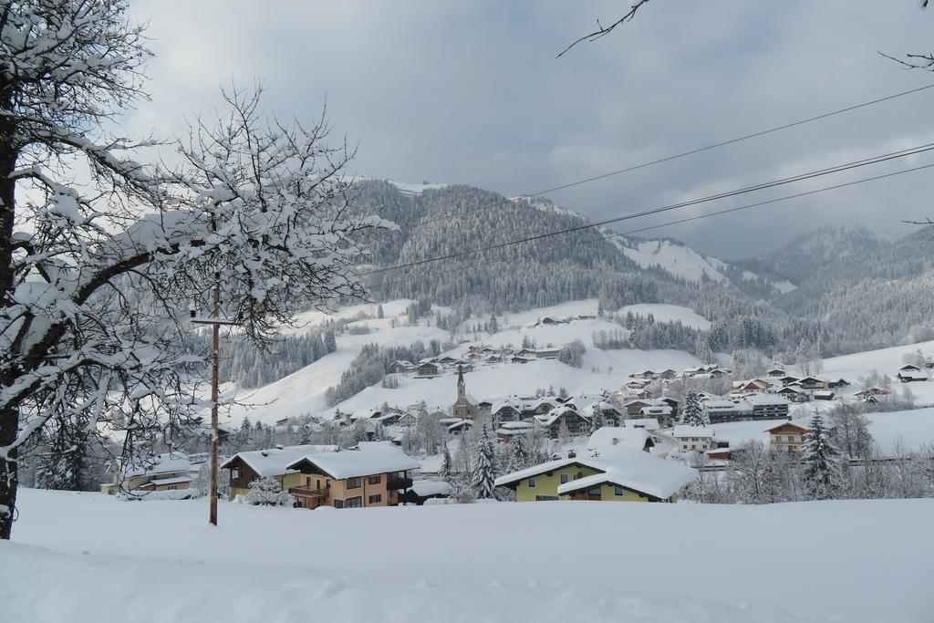 Haus Ortner Apartament Rußbach am Paß Gschütt